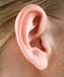 耳朵萎缩代表肾脏功能衰竭