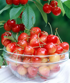 夏季最适合吃的十大水果