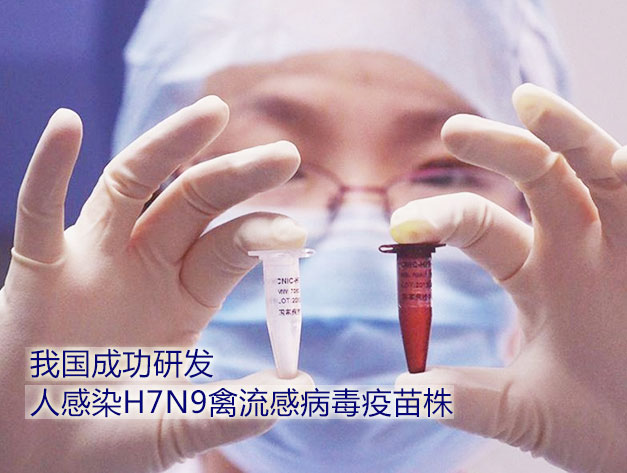 我国成功研发人感染H7N9禽流感病毒疫苗株
